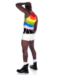 Rainbow Vest
