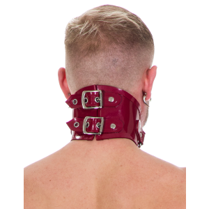 Forbidden Posture Collar