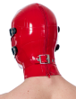 Oblivion Latex Hood*