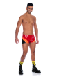 Stanford Shorts